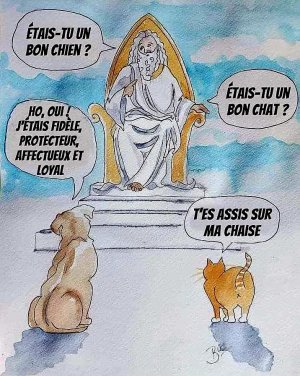 chiens chats.jpg