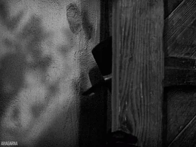tumblr_e75cff818d433cd06c377e93007c6a2b_1278423a_500.gif