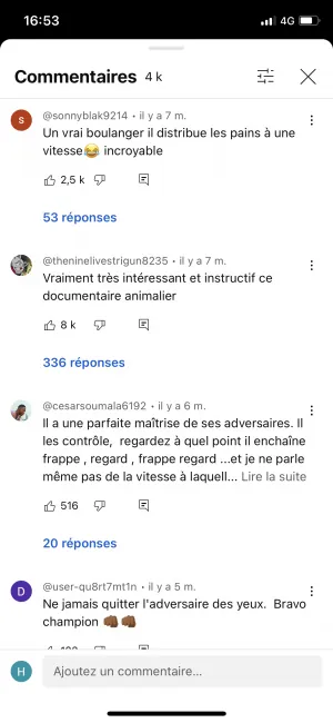 90EBCBB2-0996-4FE0-A847-C4CB54533682.png