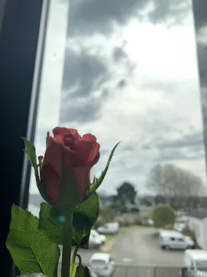 1709908165625.jpeg