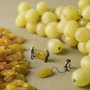 Raisins.jpg