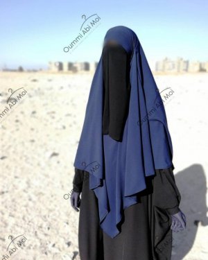 half-niqab-noir.jpg