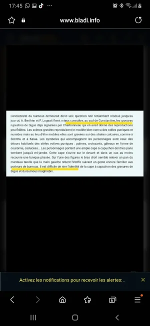 Screenshot_20240427-174550_Samsung Internet.jpg