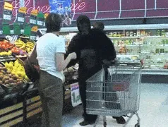 giphy-downsized.gif