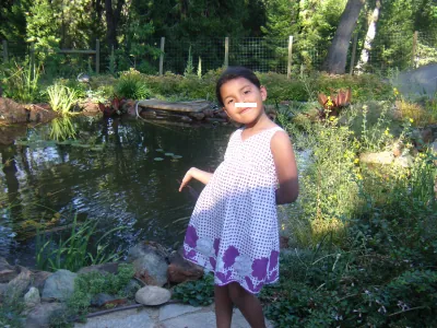 aya-the-pond.png