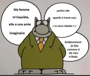 le chat Médée.png