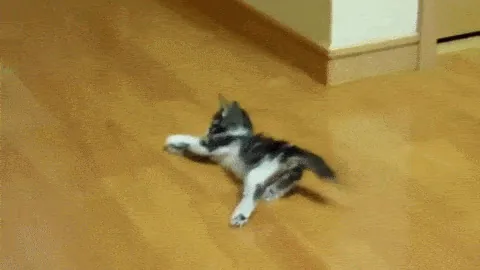 unnamed (2).gif