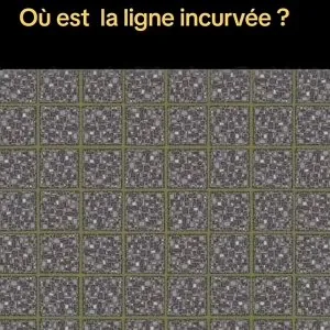 IMG_9621.jpeg