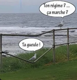 1716236054989.png