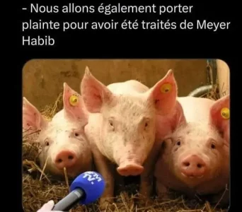Porter plaine..jpg