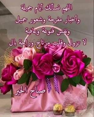 IMG-20240531-WA0001.jpg