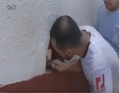 tenfiha.png