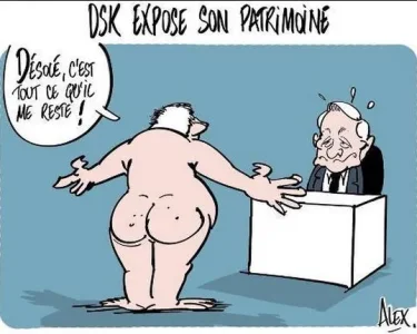 blog -DSK expose son patrimoine_Alex.JPG