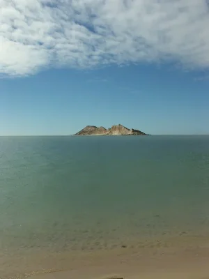 2500503275_1.jpg