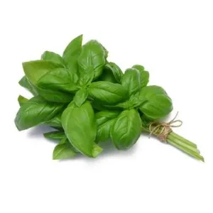 basilic-semences-graines-semence-graine.jpg
