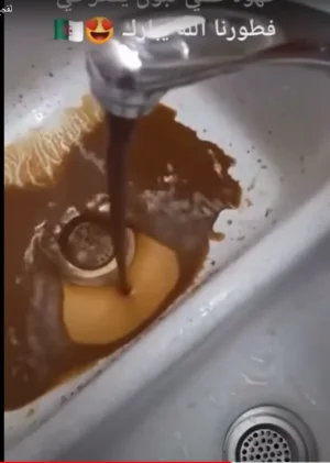 chocolate.png