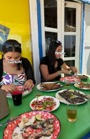 sardines.png