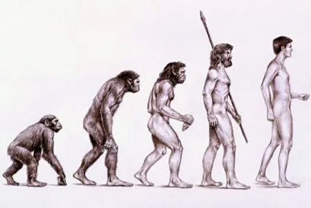 evolution.jpg