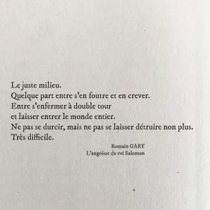FB_IMG_1721240994690.jpg