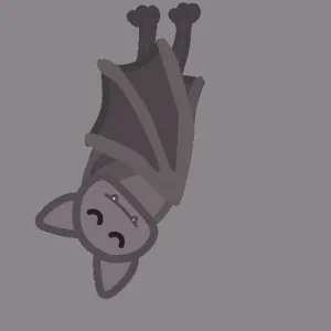 giphy.gif