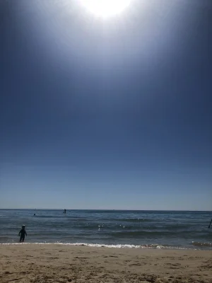 1726053405473.jpeg