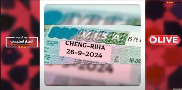 visa.png
