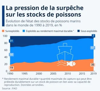 surpéche .png