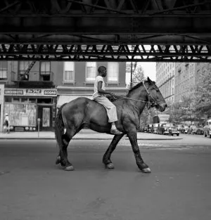 vivianmaier-tt-width-800-height-834-crop-1-bgcolor-000000.jpg