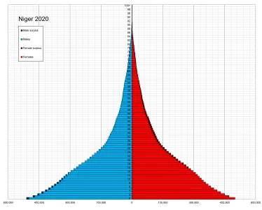 Niger_single_age_population_pyramid_2020.png