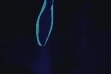 1729177317640.gif