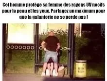images (12).jpeg