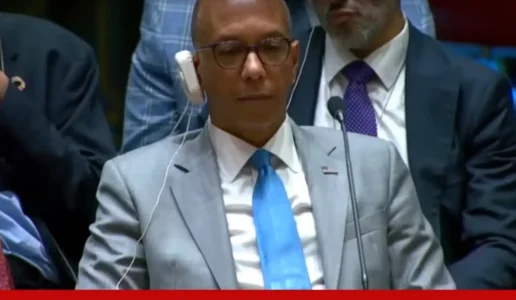 usa-security-council.png