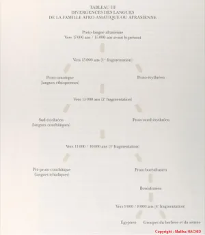 1730589735399.png