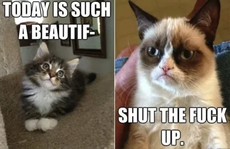 grumpy-cat-meme2.jpg