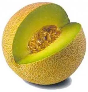 26072011-tout-savoir-sur-le-melon.jpg