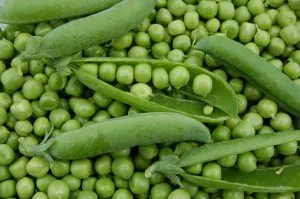 bocaux-de-petits-pois.jpg