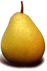 poire transparente.jpg