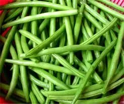 haricots vert.jpg