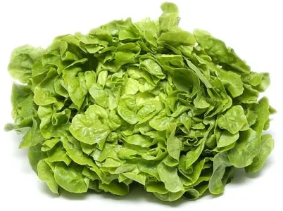 salade.jpg