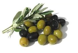 olive.jpg