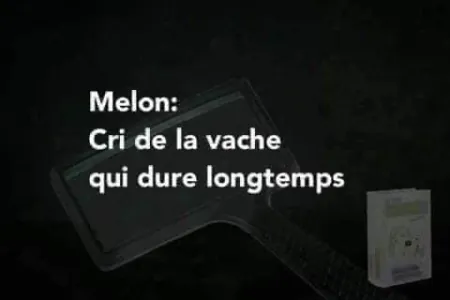 1731499862847.png