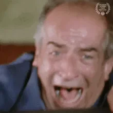 1731879303692.gif