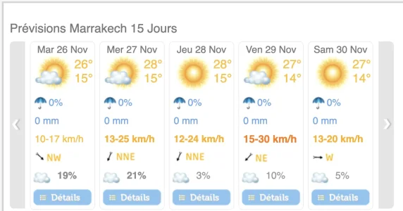 Capture d’écran 2024-11-26 à 22.11.47.png
