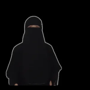 giphy.gif