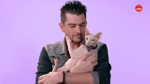 giphy.gif