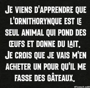 FB_IMG_1733893177322.jpg