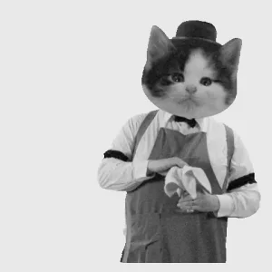 giphy.gif
