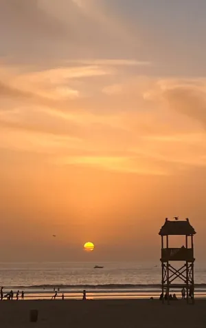 1734107415577.png