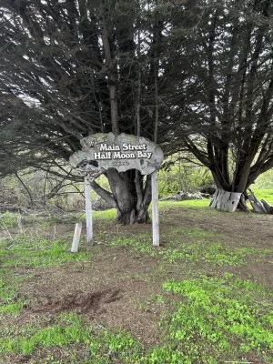 1735281540409.png