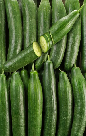 8384_CONCOMBRE.jpg